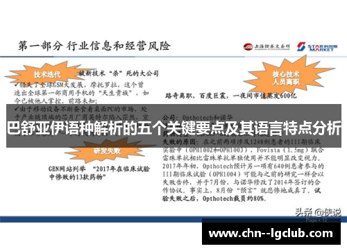巴舒亚伊语种解析的五个关键要点及其语言特点分析 巴舒亚伊语种解析的五个关键要点及其语言特点分析